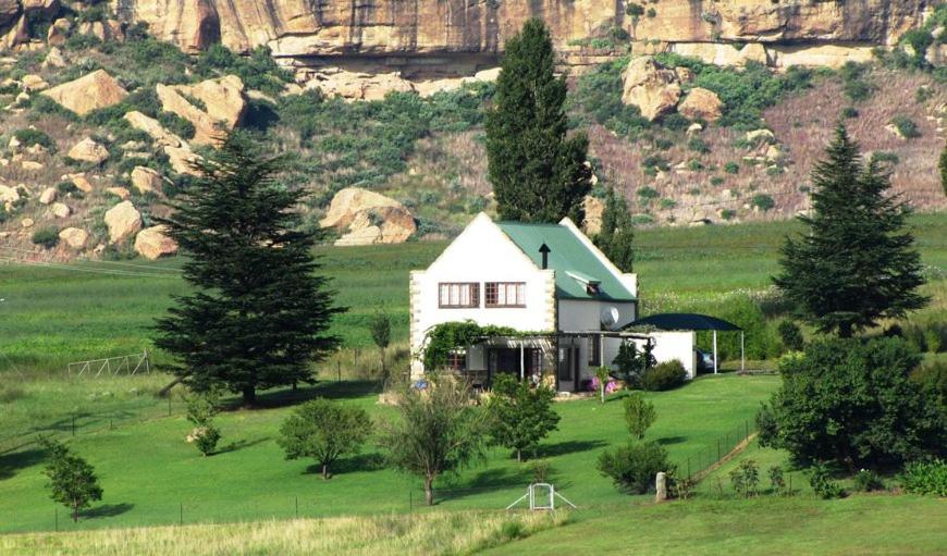 At Our Meerkat and Rehoboth Self Catering Lodges, Clarens